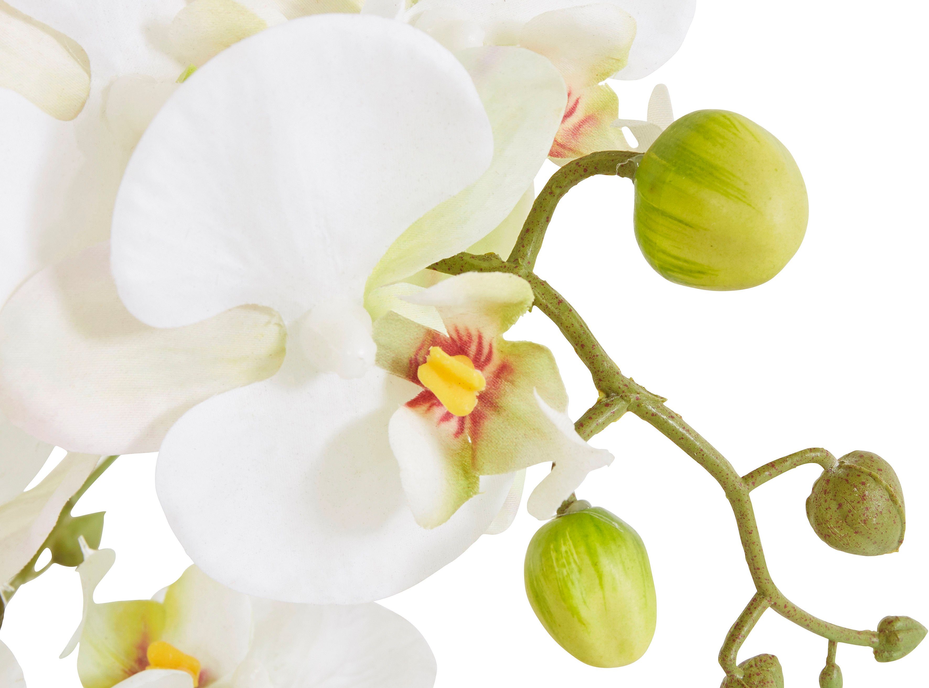 Kunstorchidee Ernestine Orchidee, DELAVITA, Höhe 42 cm, Kunstpflanze, im Topf