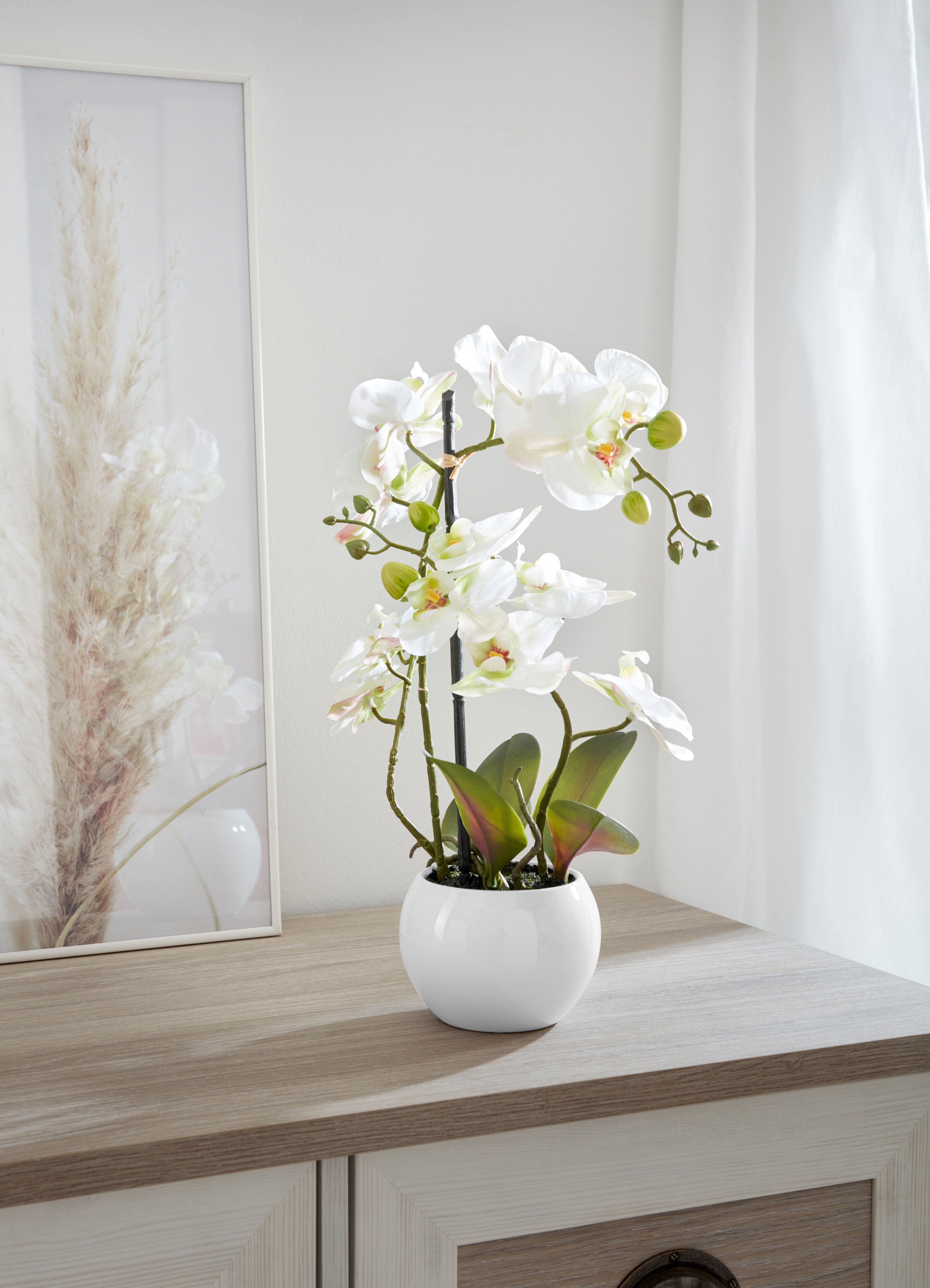 Kunstorchidee Ernestine Orchidee, DELAVITA, Höhe 42 cm, Kunstpflanze, im Topf